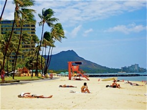 Honolulu Hawaii care rentals