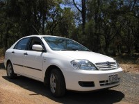 Toyota Corolla rental car