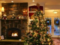 Christmas Tree and Fireplace