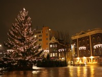 Christmas tree in Amsterdam