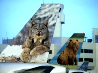 Frontier Airlines planes