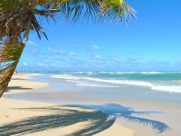 Beach in the Dominican Republic