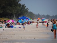 Tampa beach