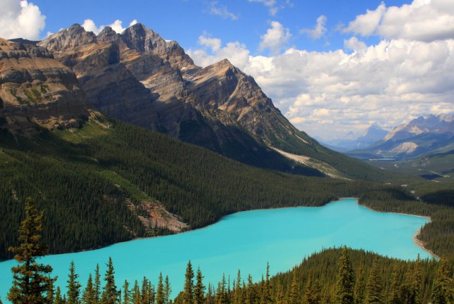 Peyto Lake, Alberta, Canada