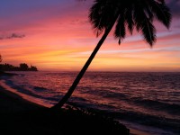 Hawaii sunset