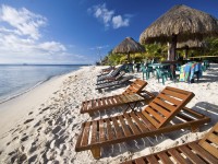 Beach on the Caribbean