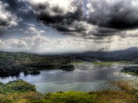 Gamboa rainforest in Panama