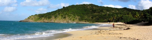 Saint Maarten beach