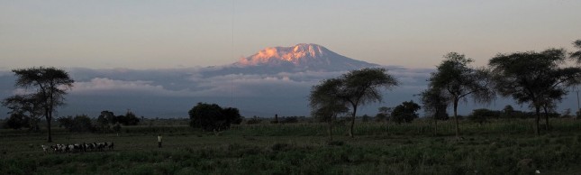 Kilimanjaro sunset