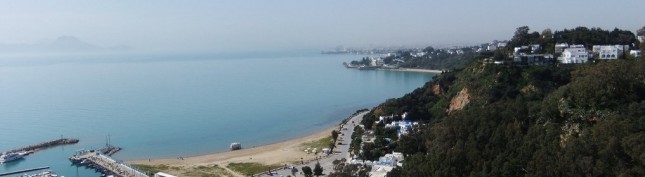 Tunis view over the ocean