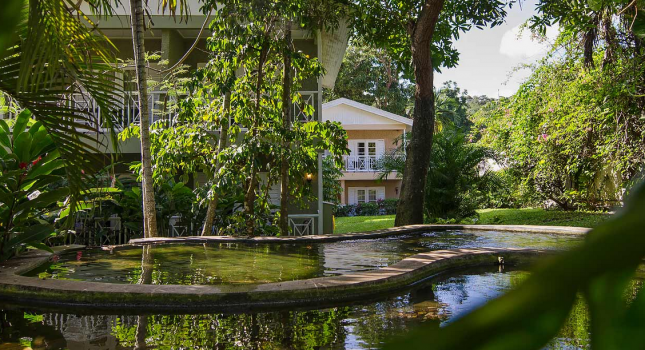 Tropical garden at Sandals Ochi Beach Resort