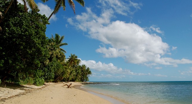 Fiji beach view