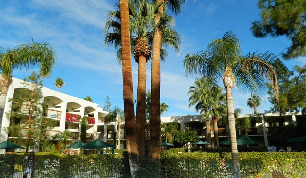 Garden at the Palm Springs Resort and Spa