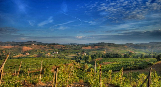 Chianti Region - Italy